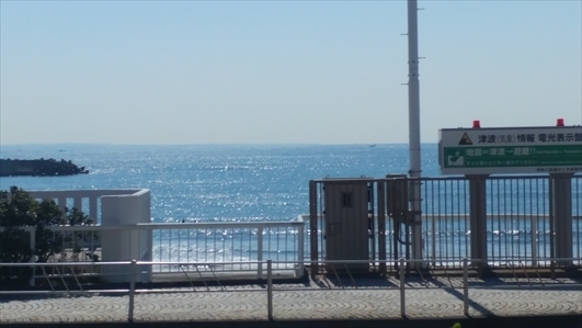 IMG00784.jpg