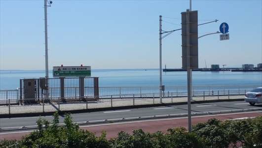 IMG00790.jpg