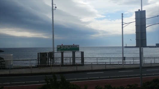 IMG00791.jpg