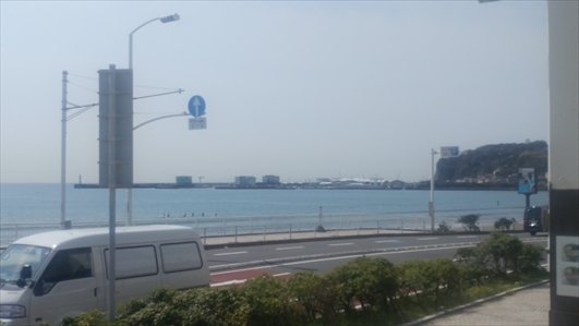 IMG00799.jpg